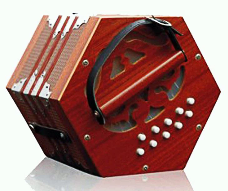 20 qhov tseem ceeb portable hexagonal accordion