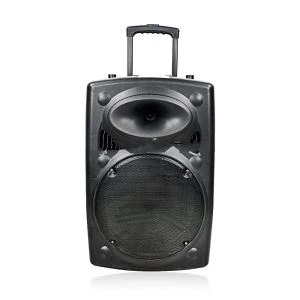 Classic BT Speaker