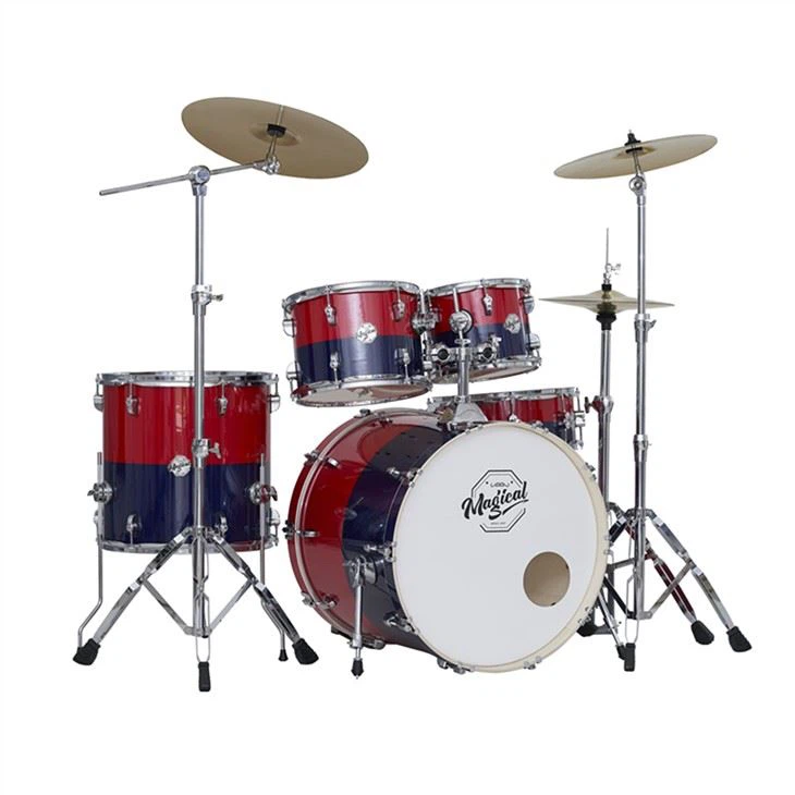 Zoo tshaj Professional Drum Set