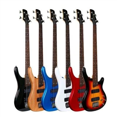 Beginner Electric Bass Guitar